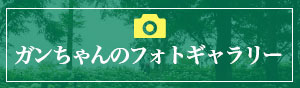 ガンちゃんのフォトギャラリー