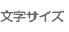 文字サイズ