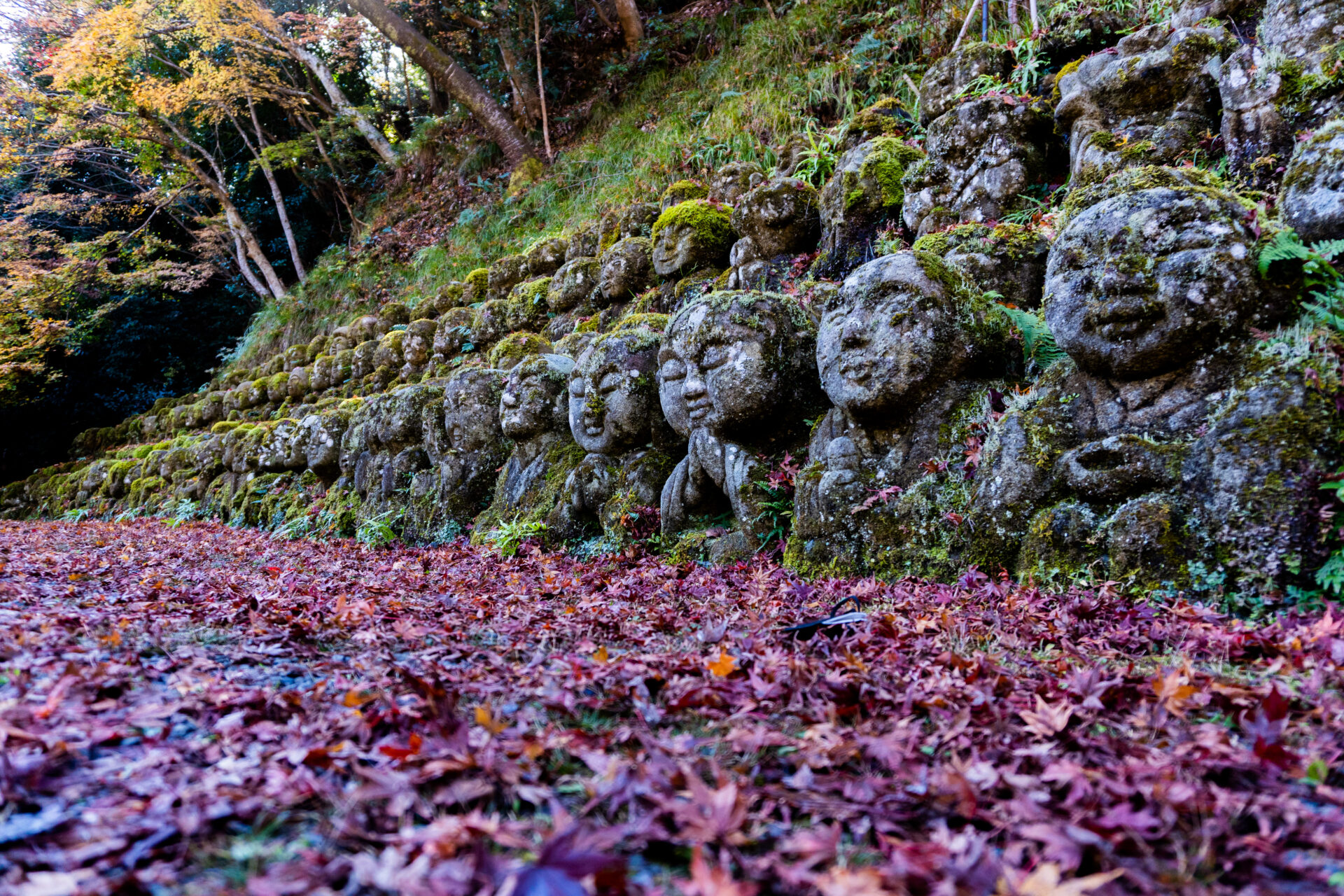 祈りー愛宕念仏寺