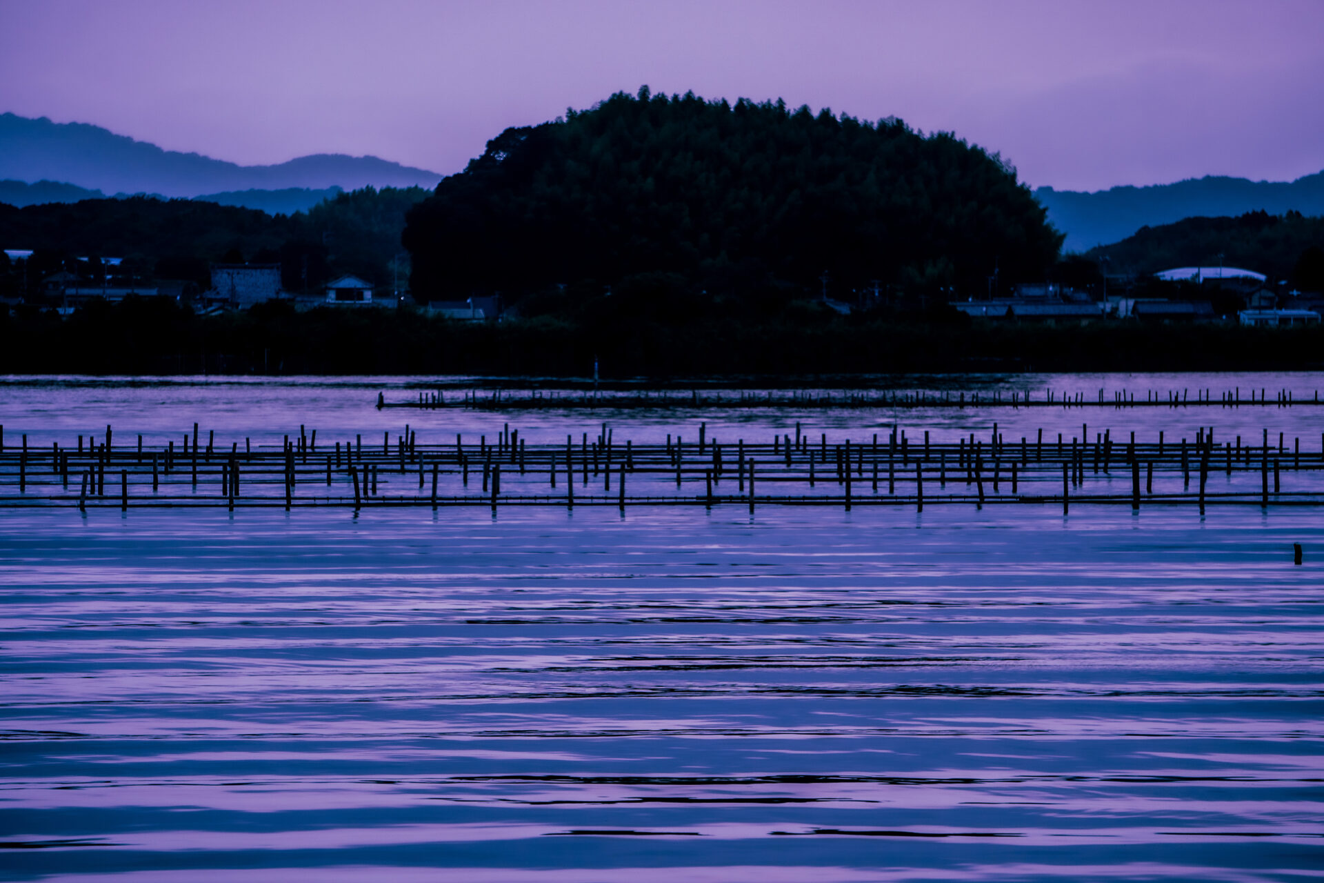 浜名湖の朝（その１）